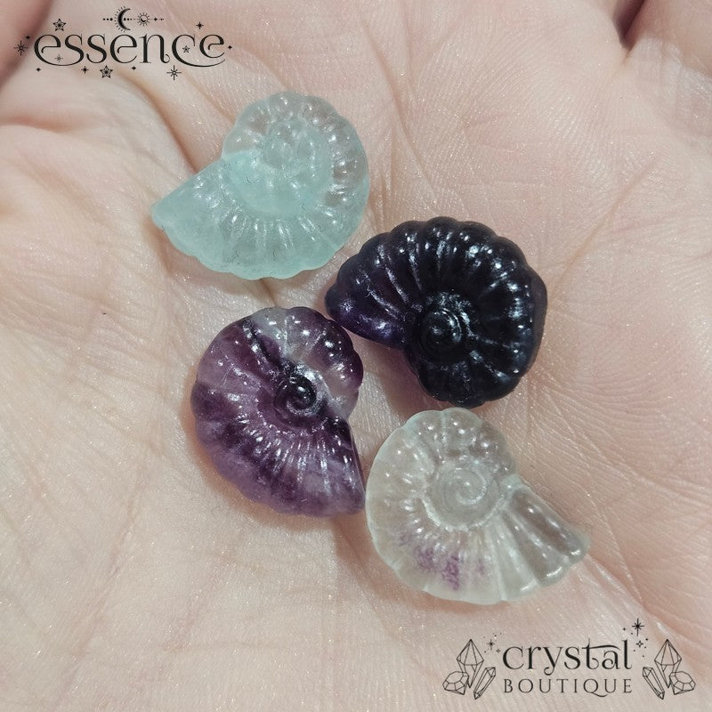 Mini Fluorite Ammonite Carvings