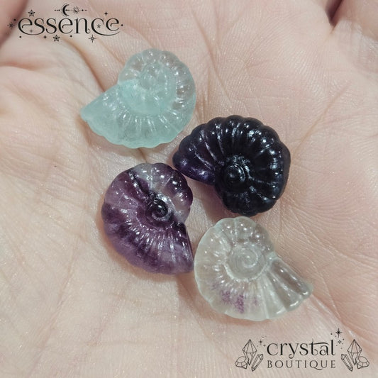 Mini Fluorite Ammonite Carvings