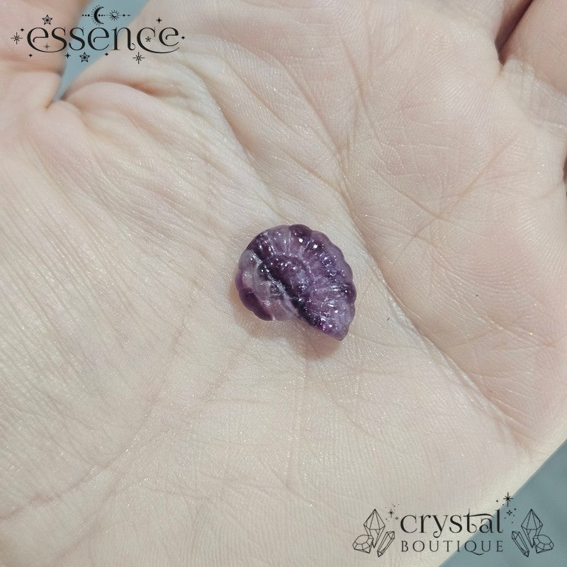 Mini Fluorite Ammonite Carvings
