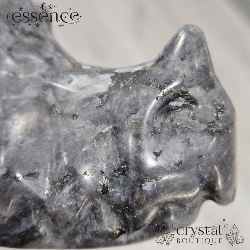 Larvikite Dragon Head - 879g