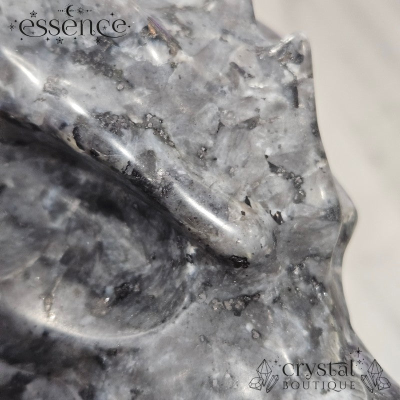 Larvikite Dragon Head - 879g