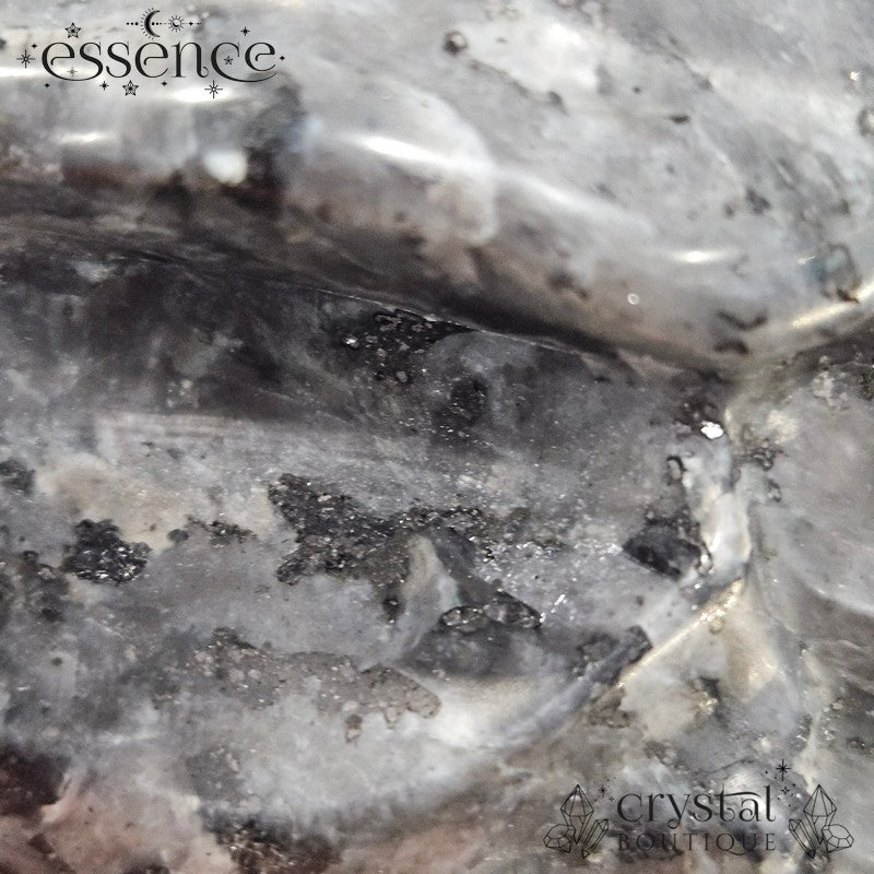Larvikite Dragon Head - 879g