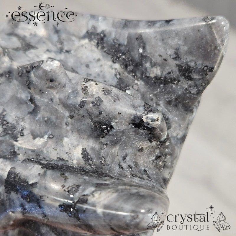 Larvikite Dragon Head - 879g
