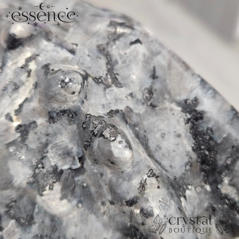 Larvikite Dragon Head - 879g
