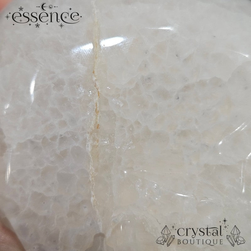 Druzy Quartz Skull – 1064g