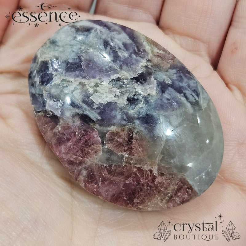 Unicorn Stone Palm stones