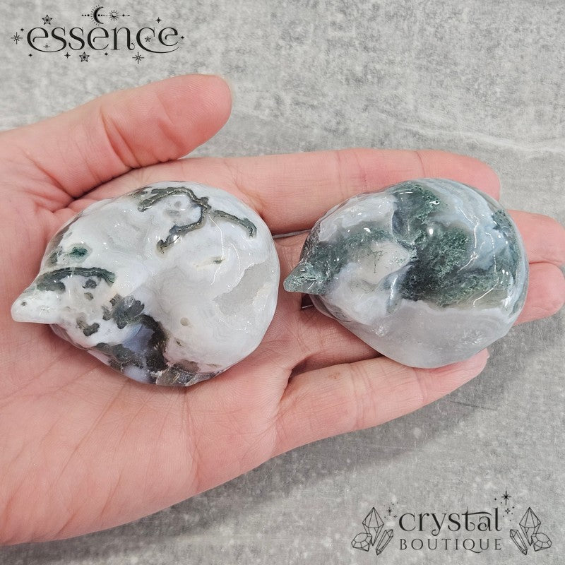 Moss Agate Sleeping Cats