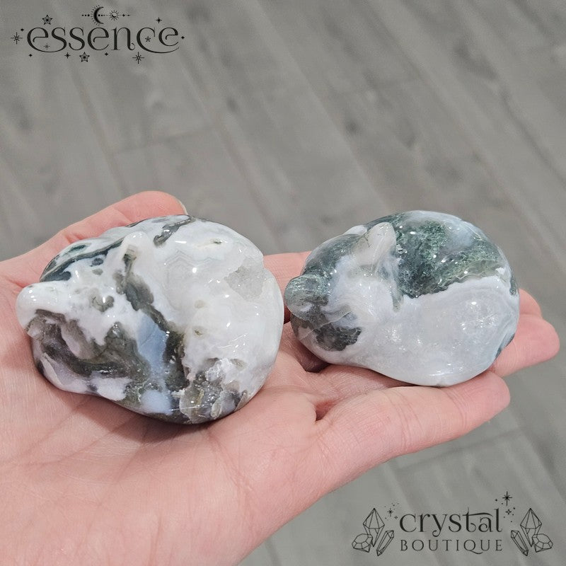 Moss Agate Sleeping Cats