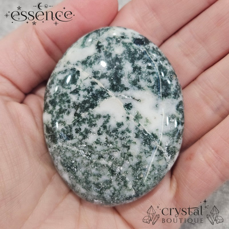 Moss Agate Palm Stone