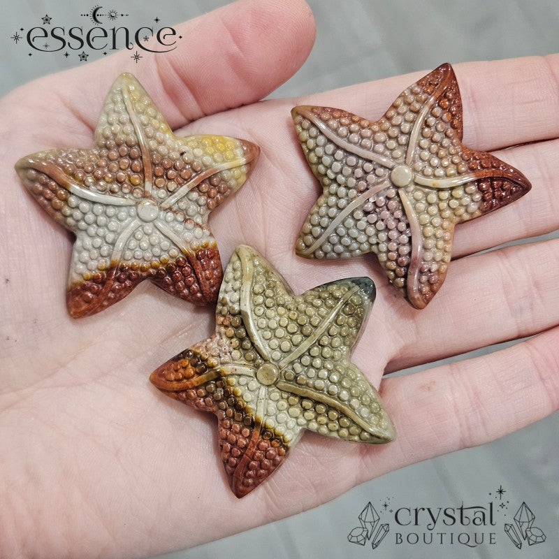 Alashan Agate Starfish