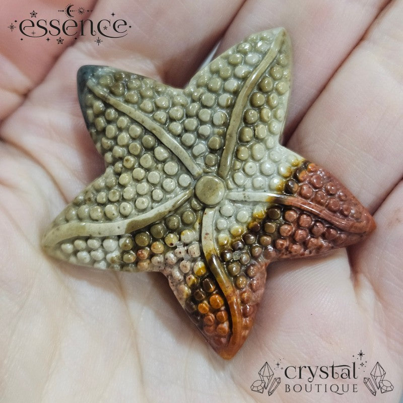 Alashan Agate Starfish