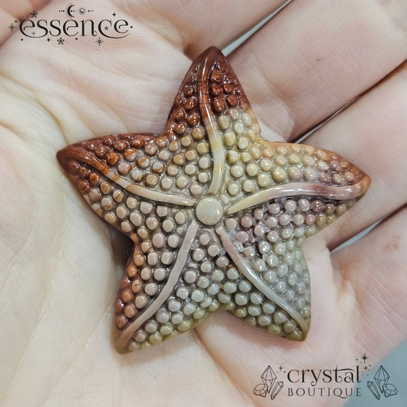 Alashan Agate Starfish