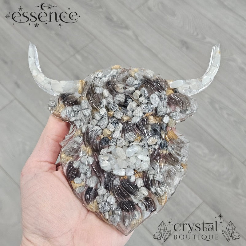 Highland Cow Wall Art