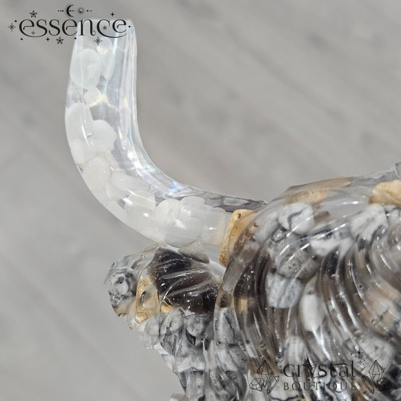 Highland Cow Wall Art