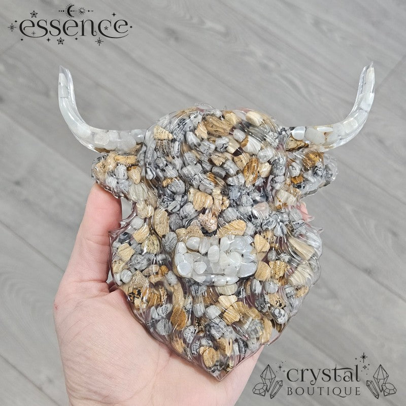 Highland Cow Wall Art