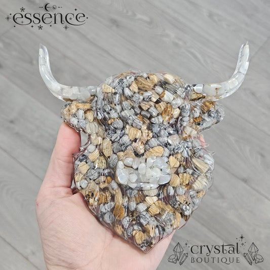 Highland Cow Wall Art