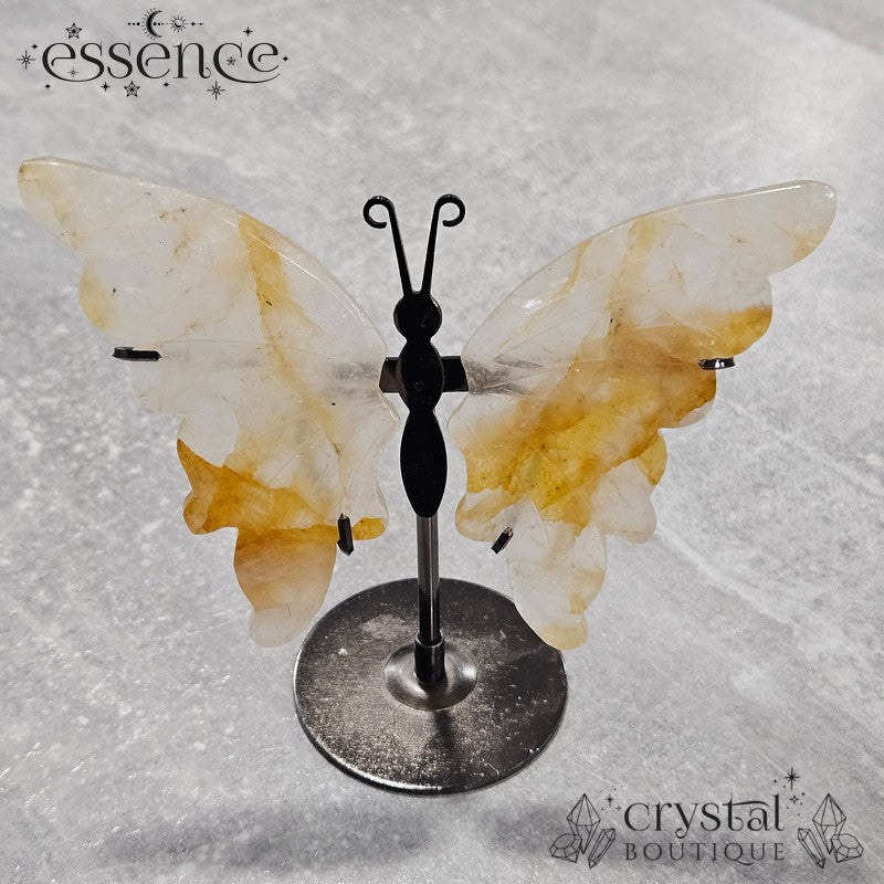 Crystal Butterfly Wings on Stand