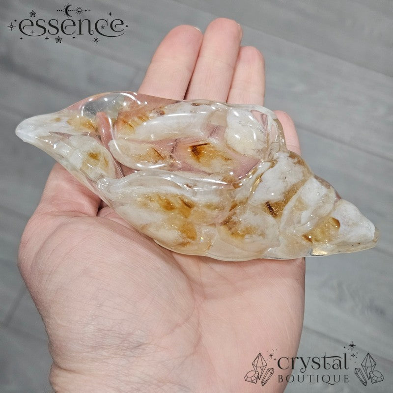 Crystal Conch Shell Bowls
