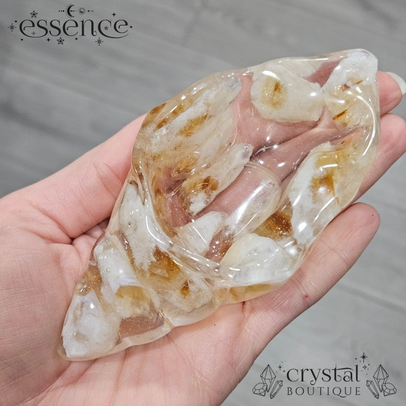 Crystal Conch Shell Bowls
