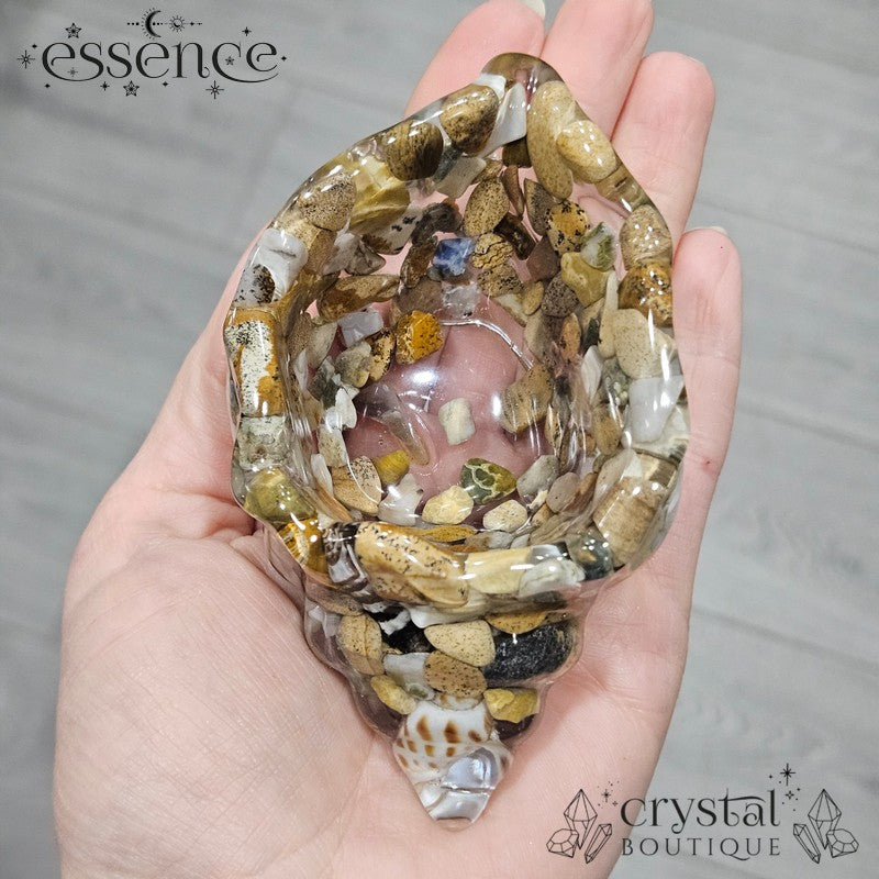 Crystal Conch Shell Bowls
