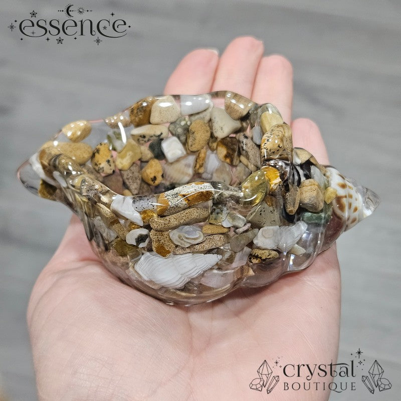 Crystal Conch Shell Bowls