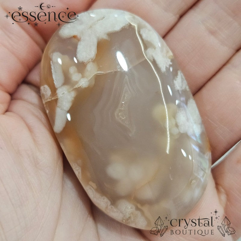 Flower Agate Palm Stones