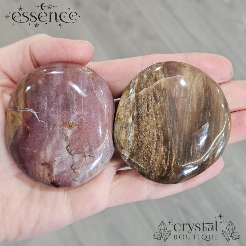 Petrified Wood Palm Stones
