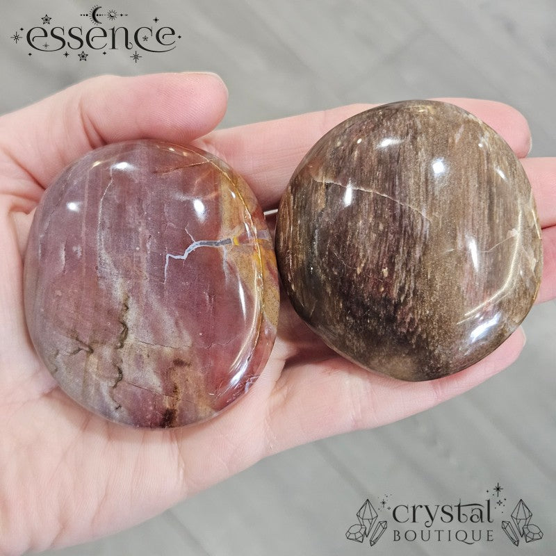 Petrified Wood Palm Stones