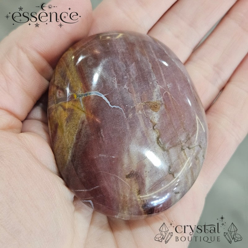 Petrified Wood Palm Stones