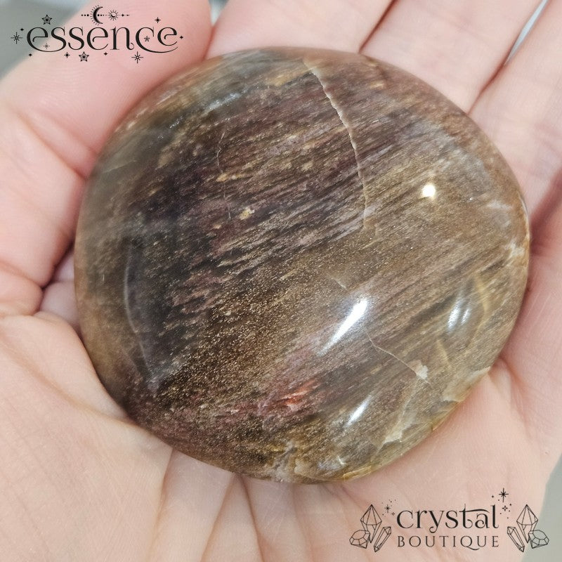 Petrified Wood Palm Stones