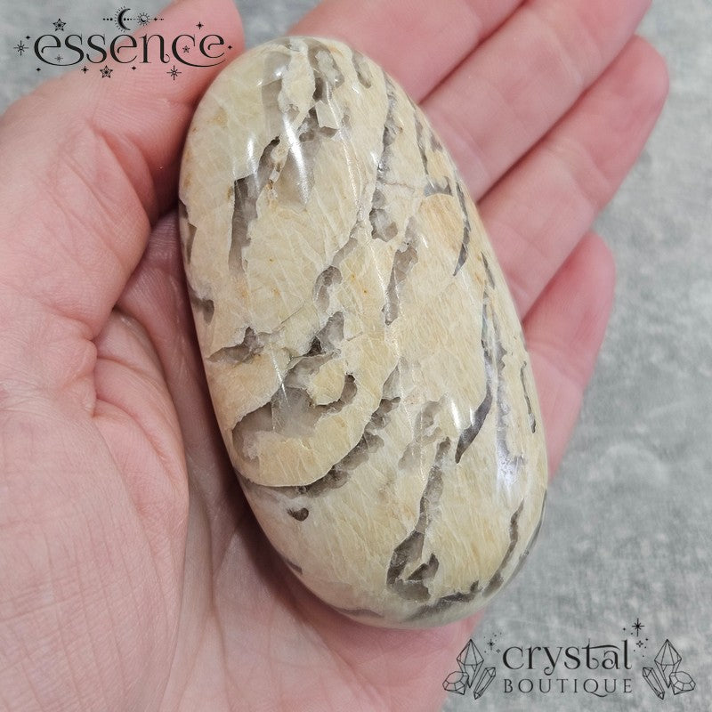 Graphic Feldspar Palm Stones
