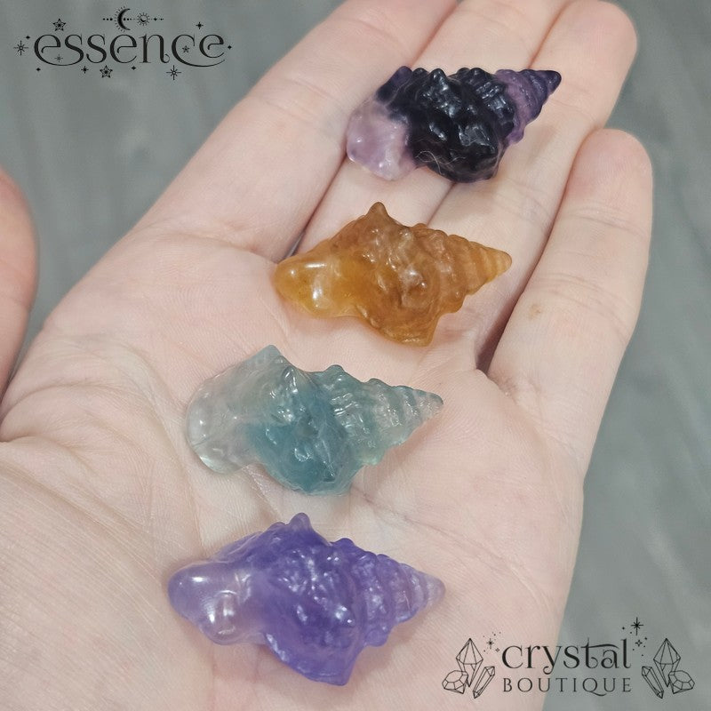 Fluorite Shell Carvings