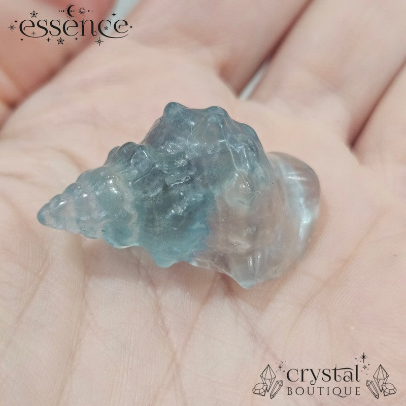 Fluorite Shell Carvings