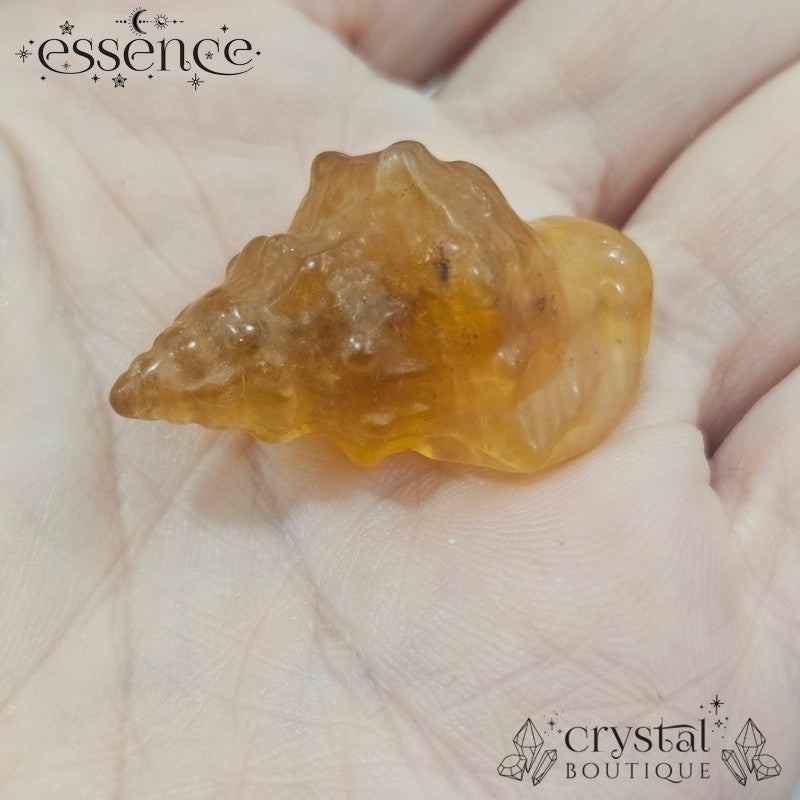 Fluorite Shell Carvings