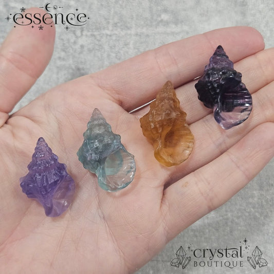 Fluorite Shell Carvings