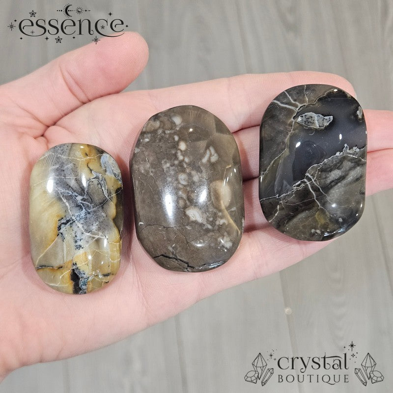 volcano Agate Palm Stones