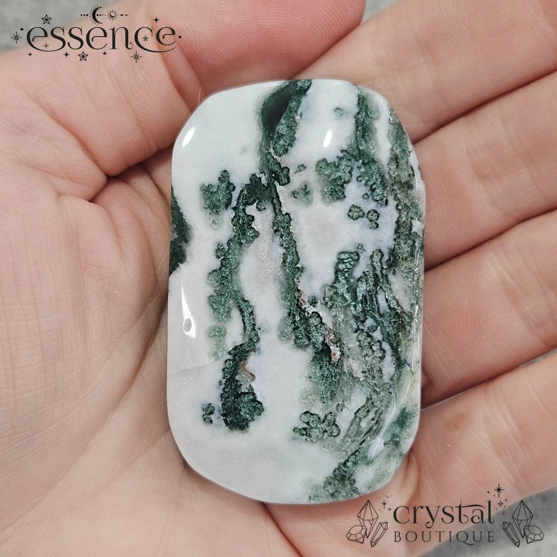 Moss Agate Palm Stones