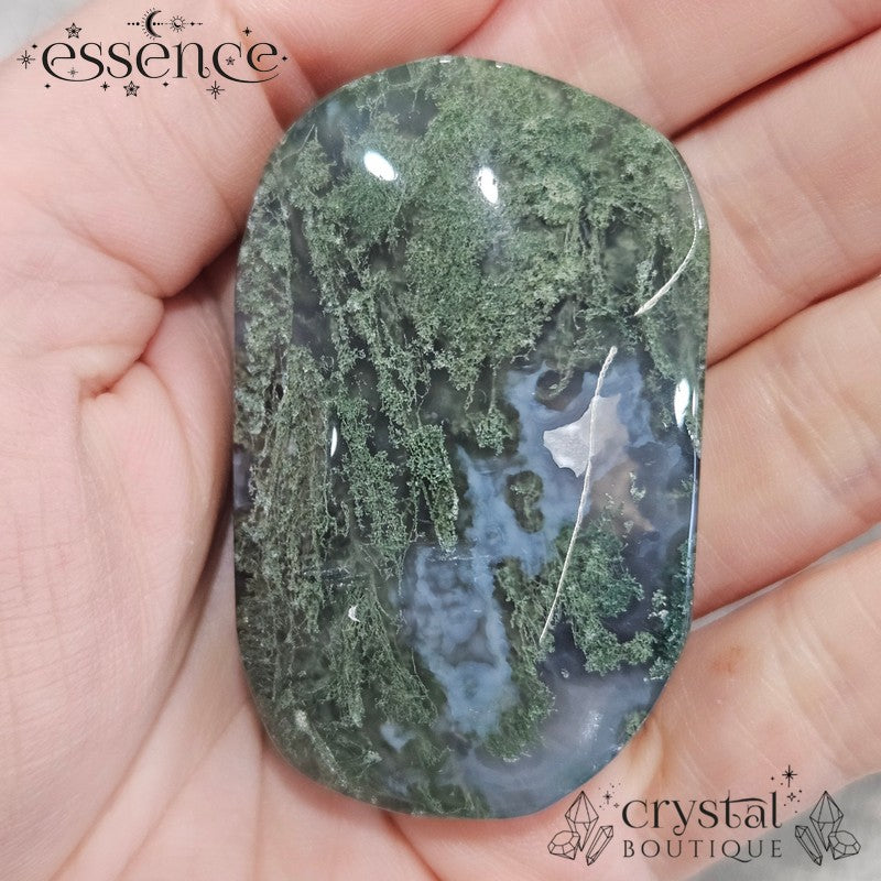 Moss Agate Palm Stones