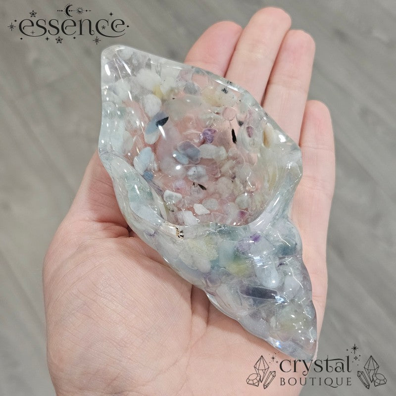 Mixed Beryl & Fluorite Conch Shell Dish