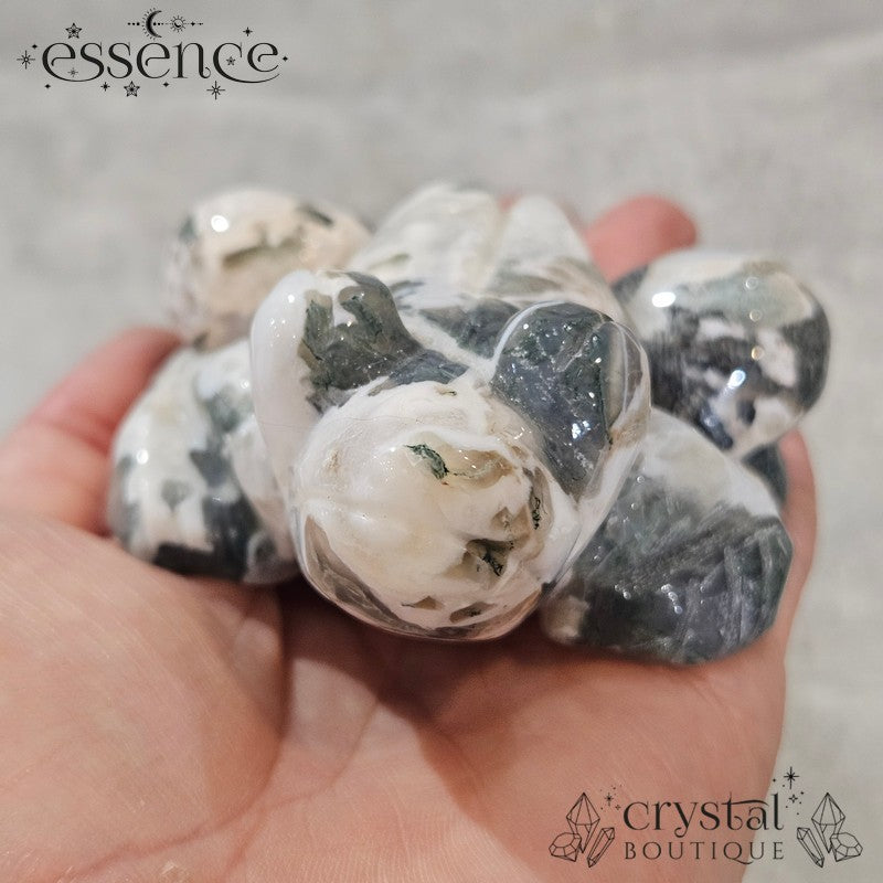 Moss Agate Frogs