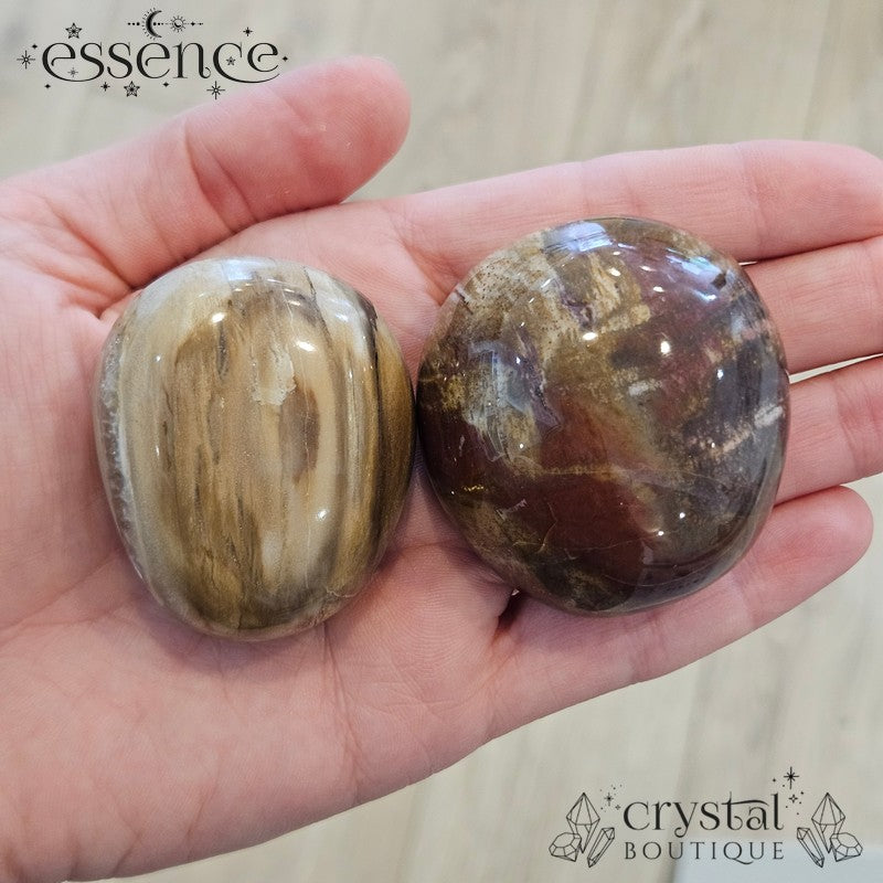 Petrified Wood Palm Stones
