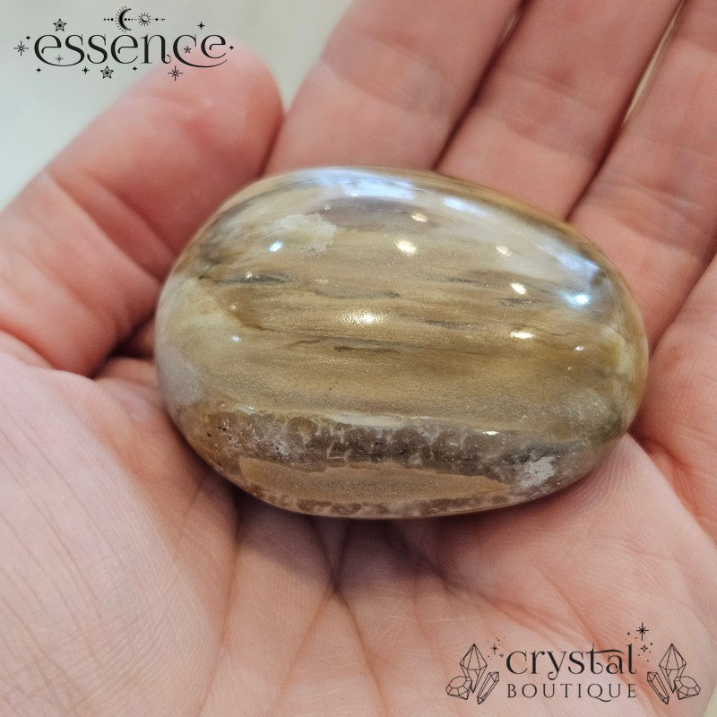 Petrified Wood Palm Stones