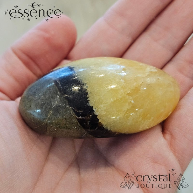 Septarian Palm Stones