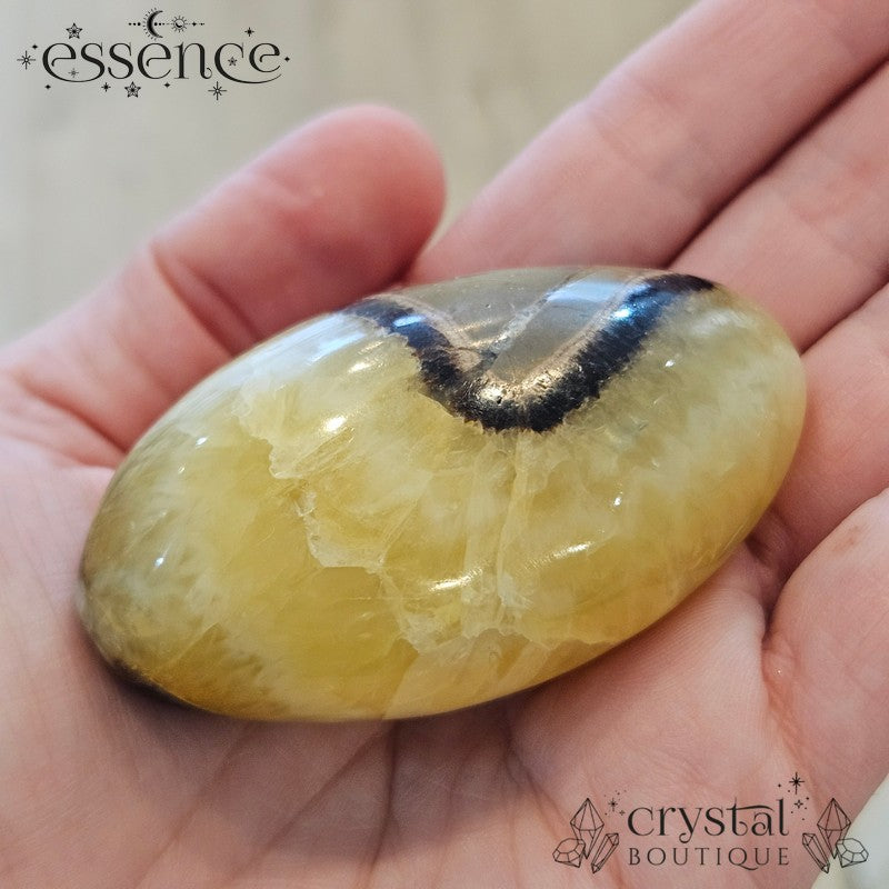 Septarian Palm Stones