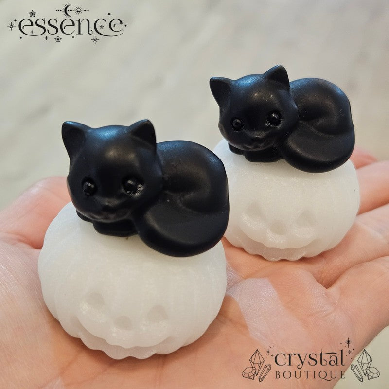 Black Obsidian Cat on White Aventurine Pumpkin
