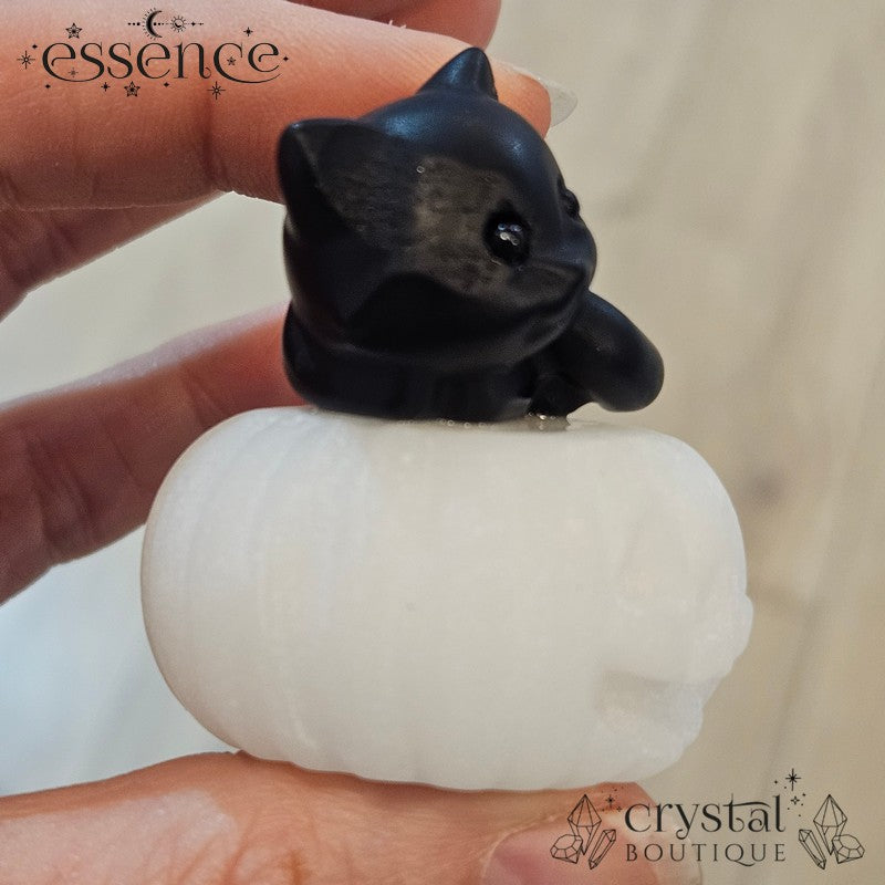 Black Obsidian Cat on White Aventurine Pumpkin