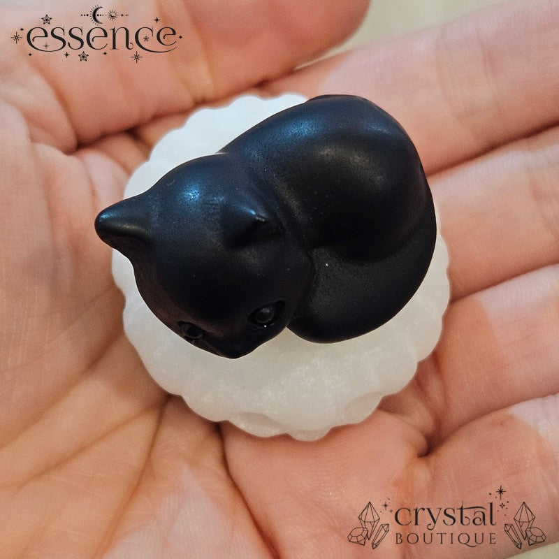 Black Obsidian Cat on White Aventurine Pumpkin
