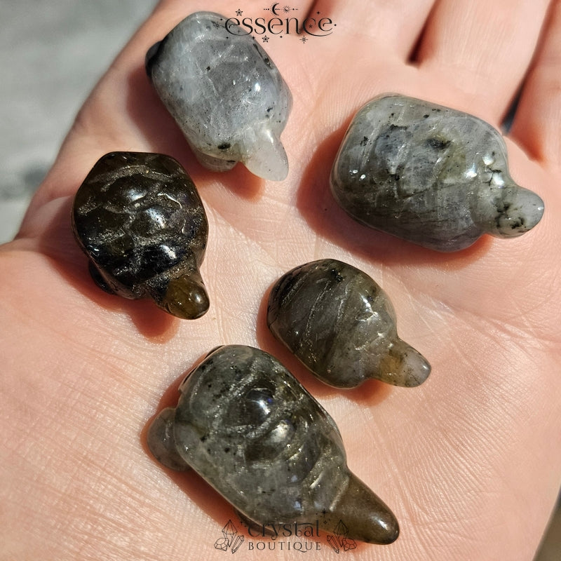 Labradorite Turtles