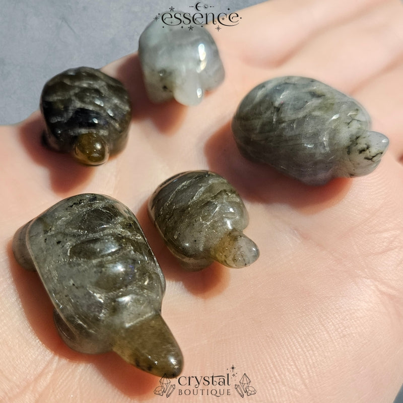 Labradorite Turtles