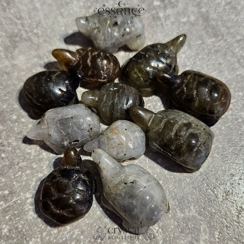 Labradorite Turtles